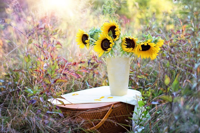 Hand-painted Plant Pots